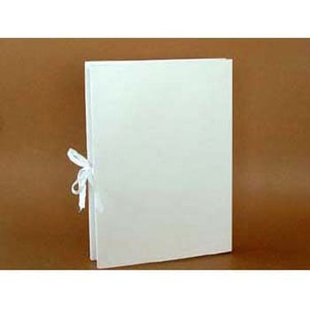 クラウンエイナーファイル 外ひも付き クラウン(事務用品)