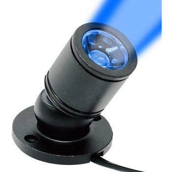 推しカラースポットライト JTT