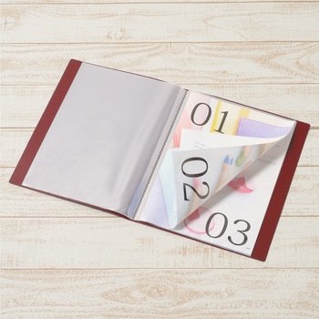 クリアーファイル スーパーエコノミー PLUS(プラス)[文具]