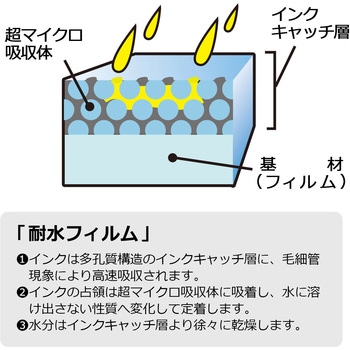 超耐水光沢フィルムラベル 透明 PLUS(プラス)[文具]
