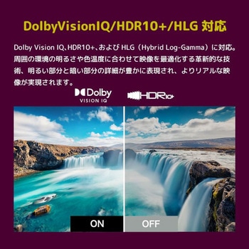 98型 4Kチューナーレステレビ GoogleTV搭載 オリオン(ORION)