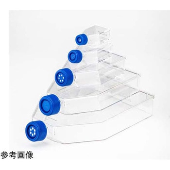 Fisherbrand 細胞培養フラスコ 250mL FBシリーズ Thermo Fisher Scientific