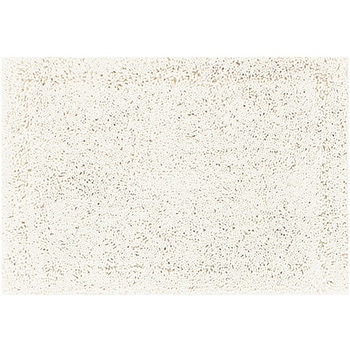 吸水・速乾・抗菌・防臭・防カビ 実はすごい バスマット センコー