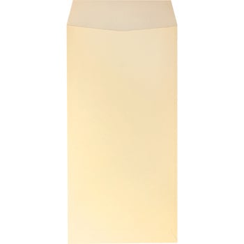 長3 カラー封筒 プラテクト(中身が見えない) 80g 月印紙製品