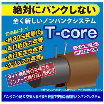 防災サイクル 前20型/後16型ノンパンク電動アシスト三輪自転車 TBDR-163-TCシリーズ PELTECH(ペルテック)
