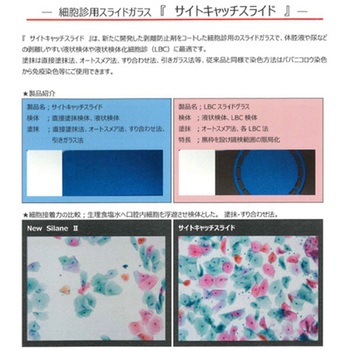 サイトキャッチスライド 20F 100枚入 武藤化学
