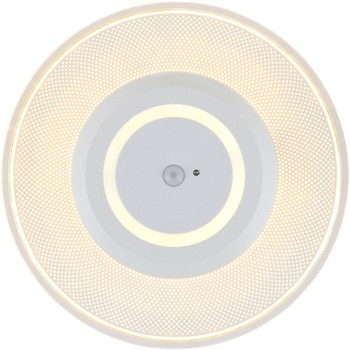 LED小型シーリングライト パネルライト 人感センサー付き 電球色 アイリスオーヤマ