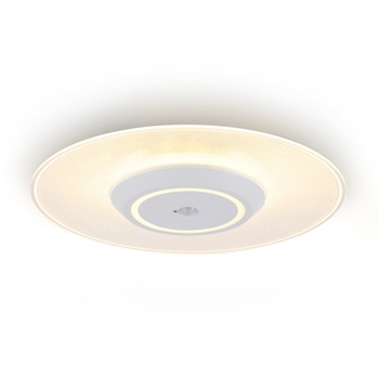 LED小型シーリングライト パネルライト 人感センサー付き 電球色 アイリスオーヤマ