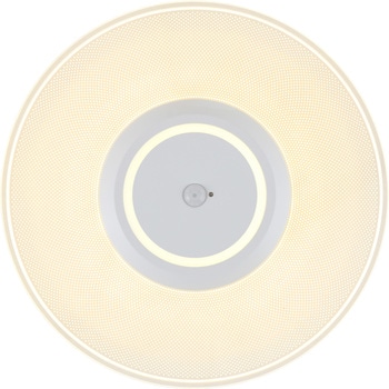 LED小型シーリングライト パネルライト 人感センサー付き 電球色 アイリスオーヤマ