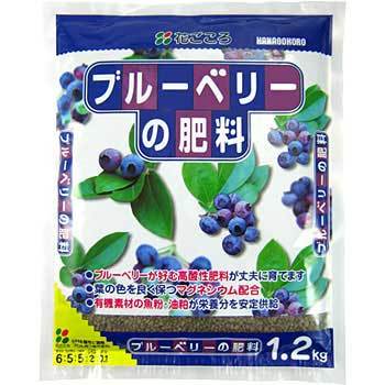 - �u���[�x���[�̔엿 �Ԃ����� ����:�L�@���艻����655 65668505