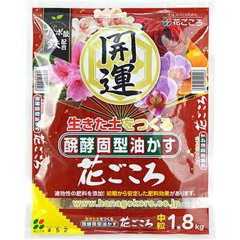 - ���y�Ō`������ �Ԃ����� ���� �Ԃ����� �w��z���엿 65668654