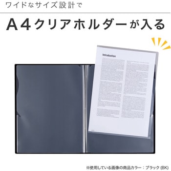 スローインファイル セキセイ