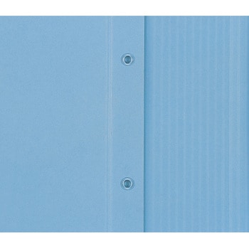 ノビールファイル ヒモヤード ブルー セキセイ