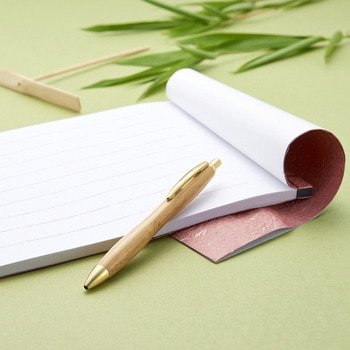 アゾン 竹ごこち 油性ボールペン0．7 セキセイ