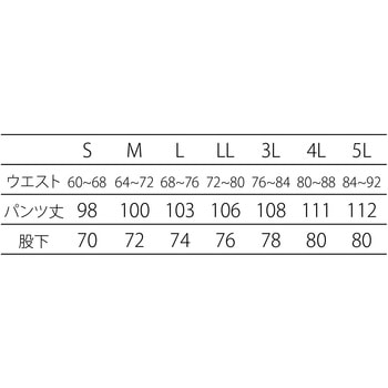 注文コード:65671439,65671448,65671457,65671466,65671475,65671491,65671500,65671509,65671518,65671527,65671536,65671545,65671561,65671570 クリーンパンツ(クリーンツイル) アドクリーン