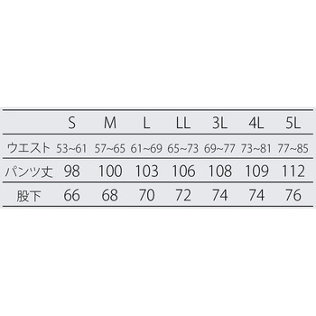 女性用ワーキングパンツ(制電ツイル) アドクリーン