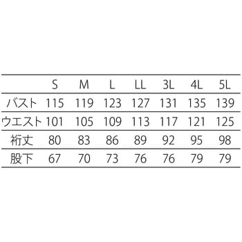 フード一体型クリーンスーツ(ダウンフロータイプ) アドクリーン