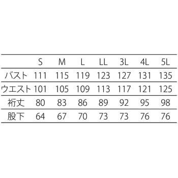 フード一体型クリーンスーツ(エレスエイチ) - アドクリーン