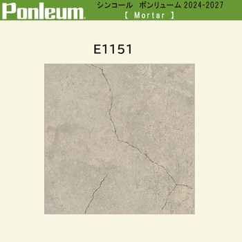 【オーダー】ポンリューム2024-2027 mortarモルタル E1151 シンコール