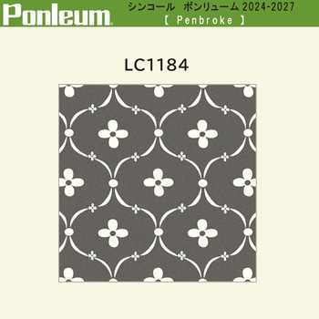 【オーダー】ポンリューム2024-2027 Pembrokeペンブローク LC1184 シンコール