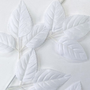 ホワイトリーフスプレー アルファ[販促]