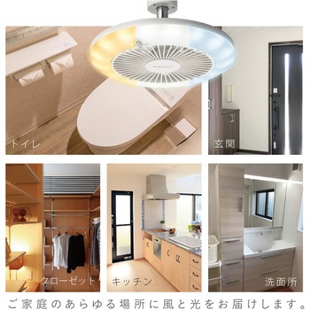 人感センサー付ソケットモデル ドウシシャ