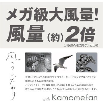 メガソケットモデル ドウシシャ