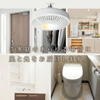 ソケットE17モデル ドウシシャ