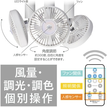 人感ソケットE17モデル - ドウシシャ