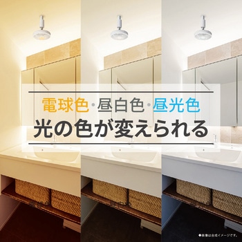 人感ソケットE17モデル - ドウシシャ