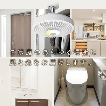 人感ソケットE17モデル - ドウシシャ