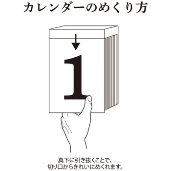 ECO小型日めくり キングコーポレーション