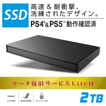 ESD-EJ2000GWHR SSD 外付け ポータブル USB3.2(Gen1)対応 耐衝撃 耐震