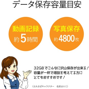 SDカード Class10 UHS-I U1 読出30MB/s 高速データ転送 著作権保護機能 メモリーカード エレコム