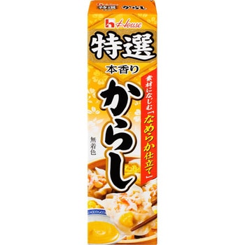 特選本香りからし 42g 1ケース(42g×10本) ハウス食品 【通販モノタロウ】