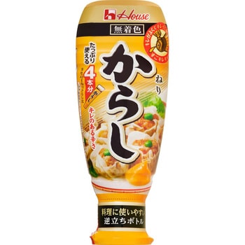 ねりからし 大容量 175g 1ケース(175g×40本) ハウス食品 【通販