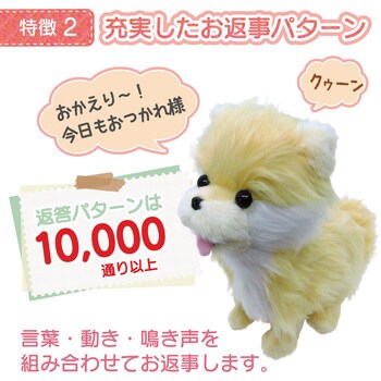 人気の ココドル 踊るペット犬 新品未使用品 在庫限り