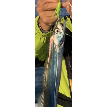 P-49Y 船太刀胴突テンヤ仕掛 イエロー ハリミツ