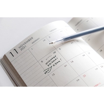 ギター てづくりペン 無色彩色 寺西化学