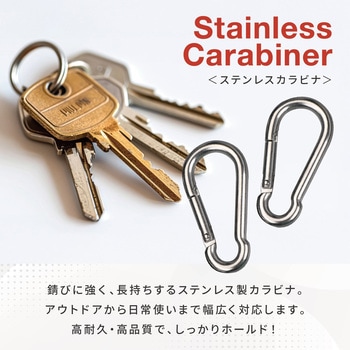 ステンレスカラビナ 高耐久 コンパクト 落下防止 10個セット AFF WARE