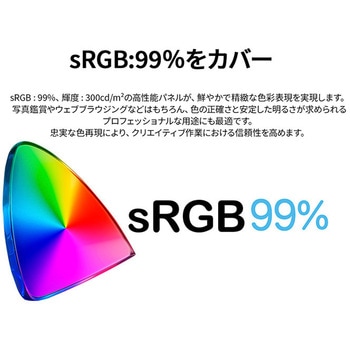 液晶ディスプレイ 24型/1920×1200/HDMI×1、DP×1、USB-C×1/ブラック/スピーカー有/2年保証 JAPANNEXT