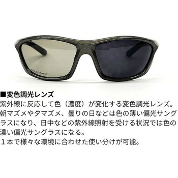 DN-4216H ポリカーボネイト変色調光偏光グラス DAIWA(ダイワ)