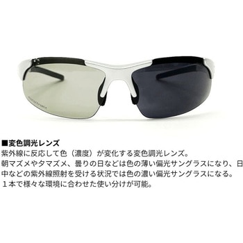DN-4022H ポリカーボネイト変色調光偏光グラス DAIWA(ダイワ)