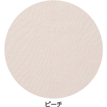 婦人フロント レース3分袖 ホックインナー 97300シリーズ ケアファッション