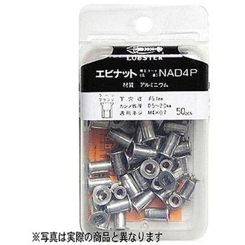 420165-NAD-5P �G�r�i�b�g LOBSTER(���u�X�^�[/�G�r��/���u�e�b�N�X) 65750748