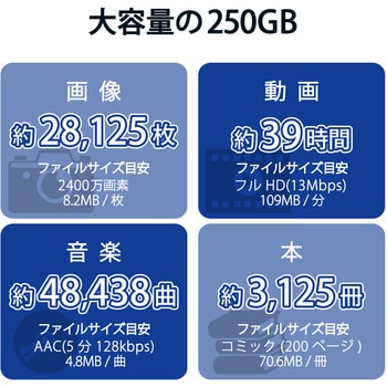ESD-EPK0250GWH SSD 外付け ポータブル 小型 ノック式 USB3.2(Gen1