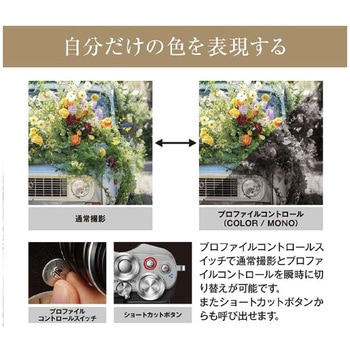 ミレーレス一眼 E-P7レンズキット オリンパス