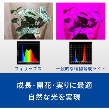 家庭用植物育成ライト フィリップス