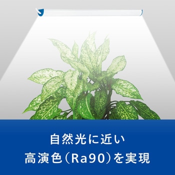 家庭用植物育成ライト フィリップス