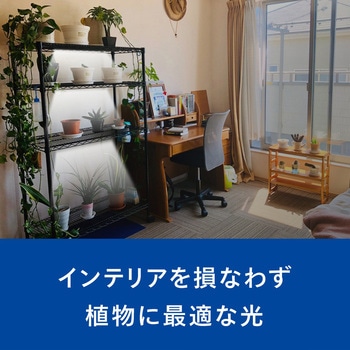 家庭用植物育成ライト フィリップス